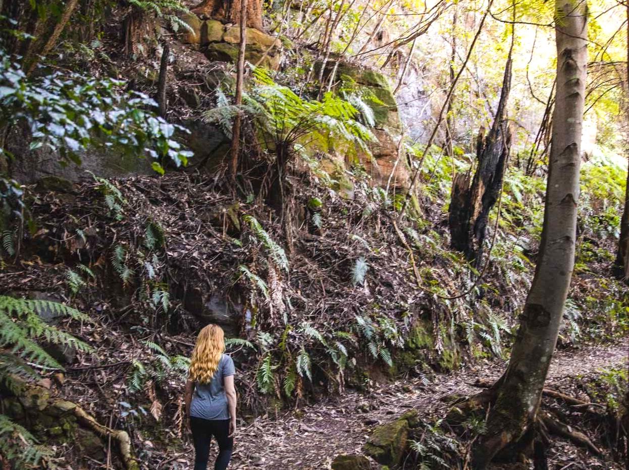 nosotrosmx|Dardanelles Pass: Hiking through history on the Dardanelles Pass.