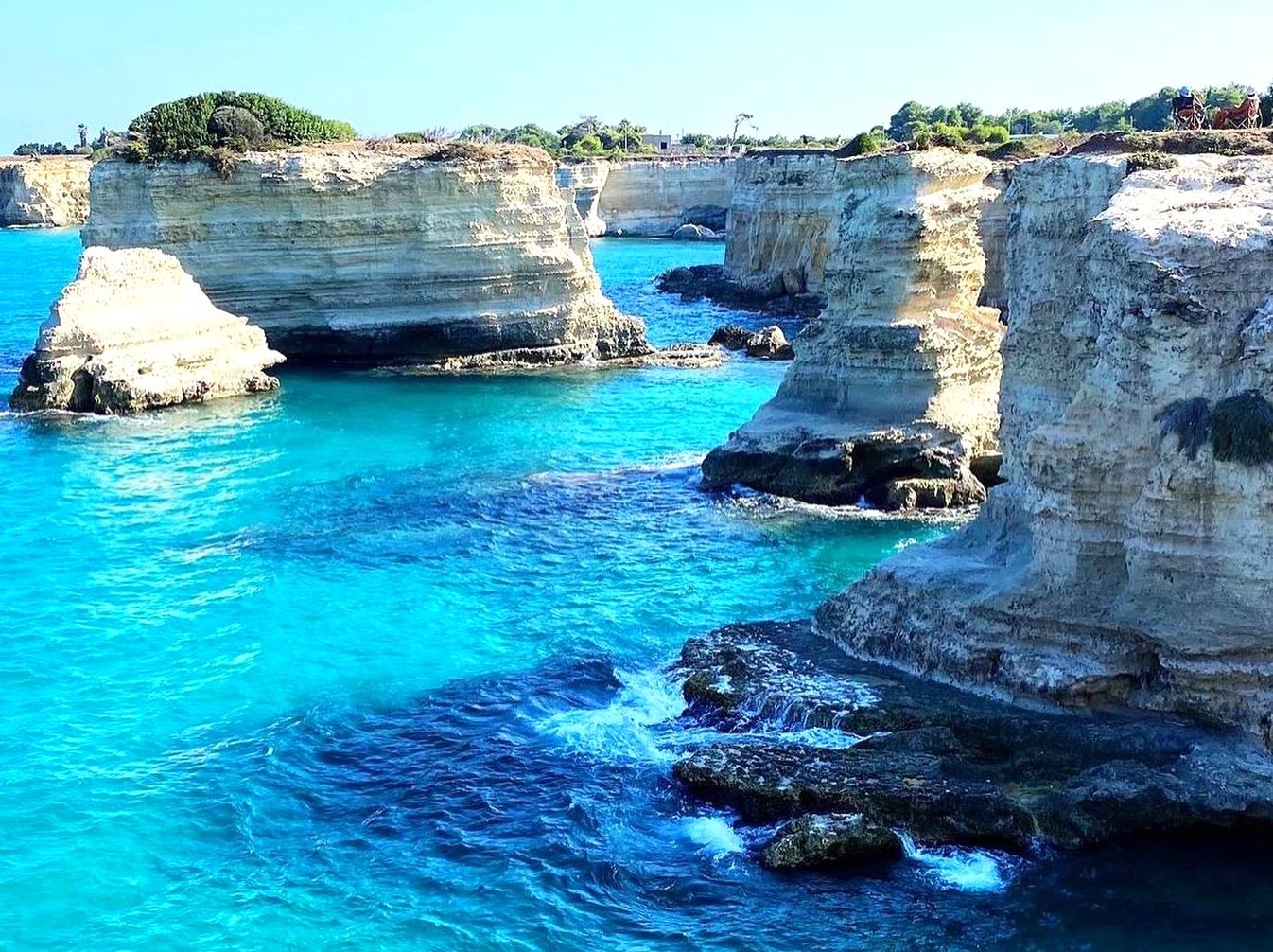 Discovering nature and camping at Euroka Clearing.