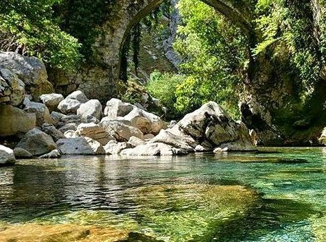 Euroka Clearing: A haven for campers and wildlife enthusiasts.