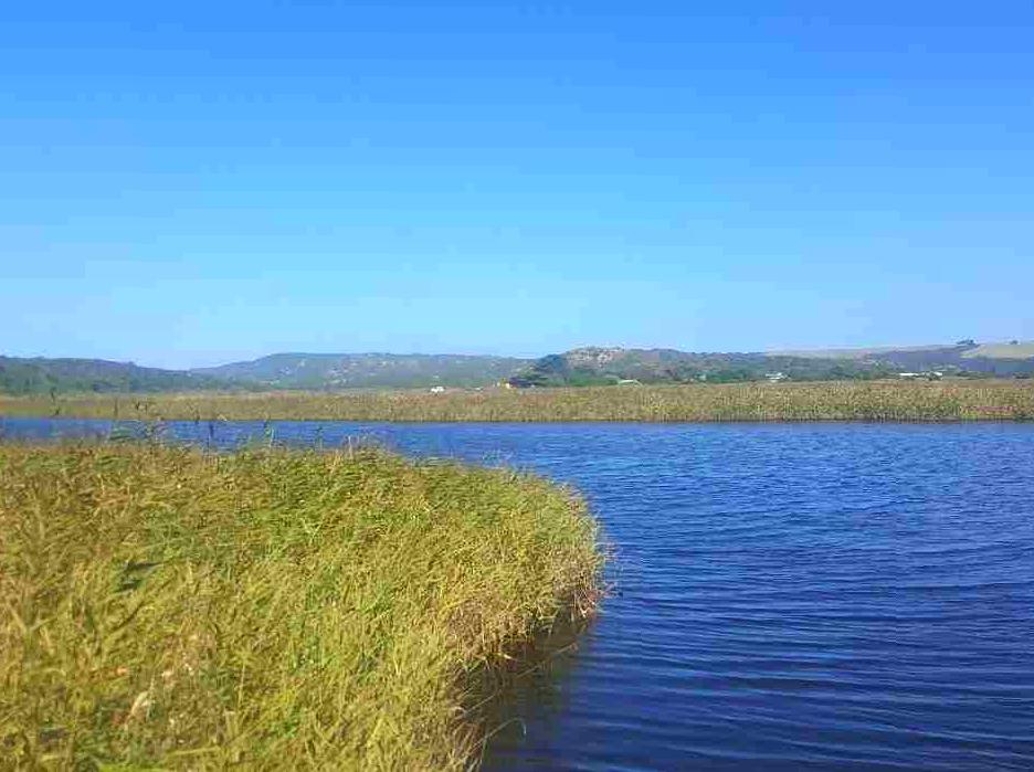 nosotrosmx|Gellibrand River: River and Fishing Spot