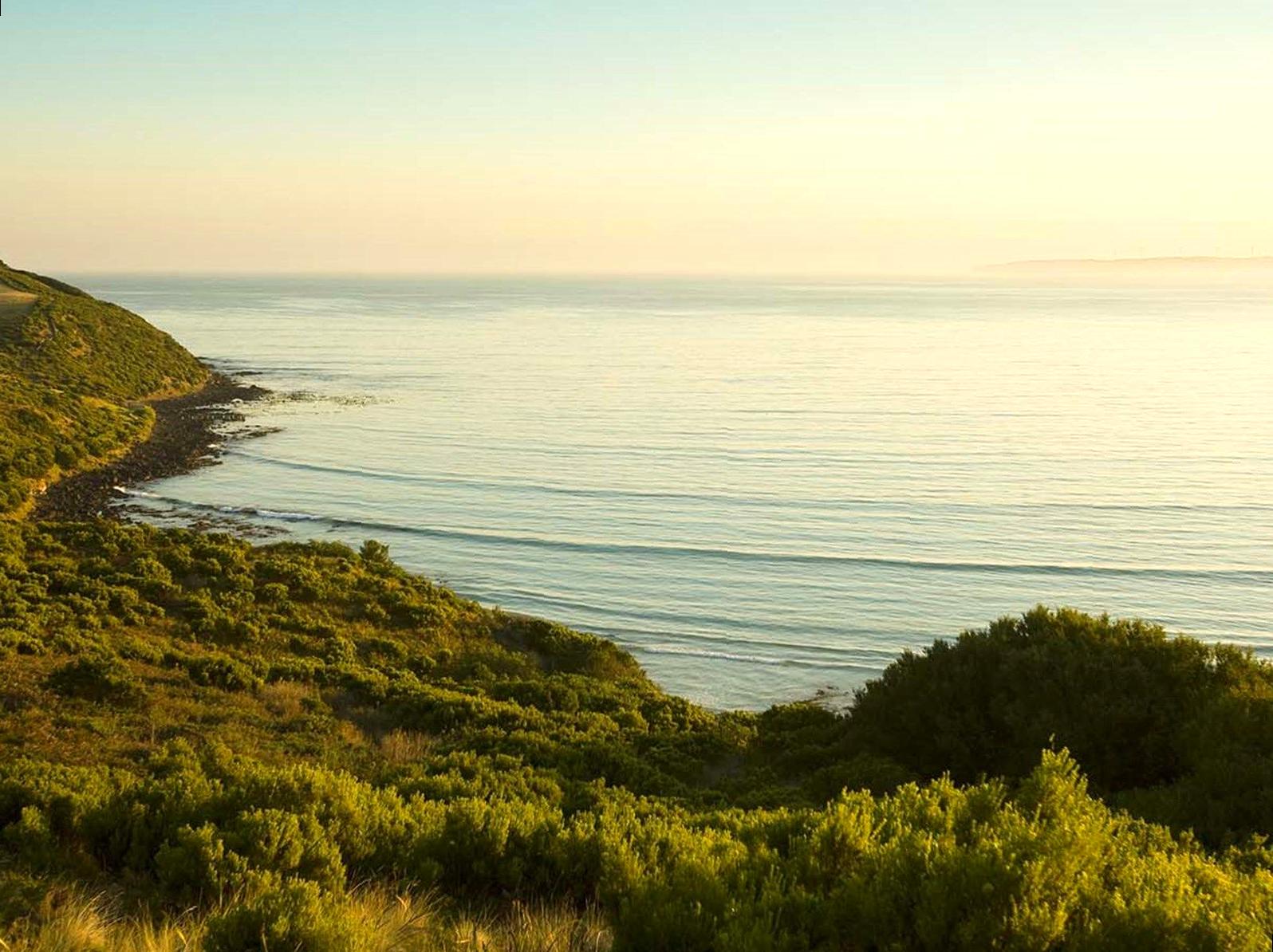 nosotrosmx|Cape Bridgewater: Coastal Cape and Seal Colony