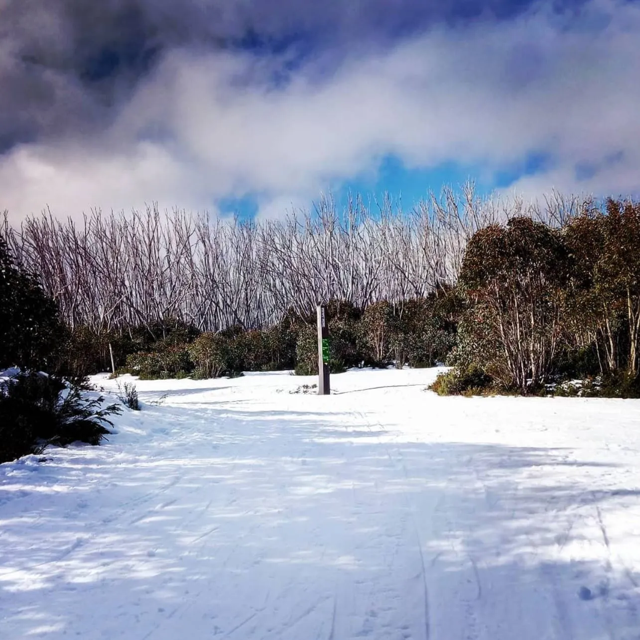 Gentle Terrain — Ideal for Learning